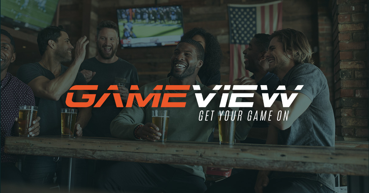 Game View invalid