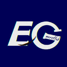 E Games Hub invalid